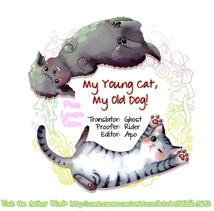 My Young Cat and My Old Dog Chapter 62 4